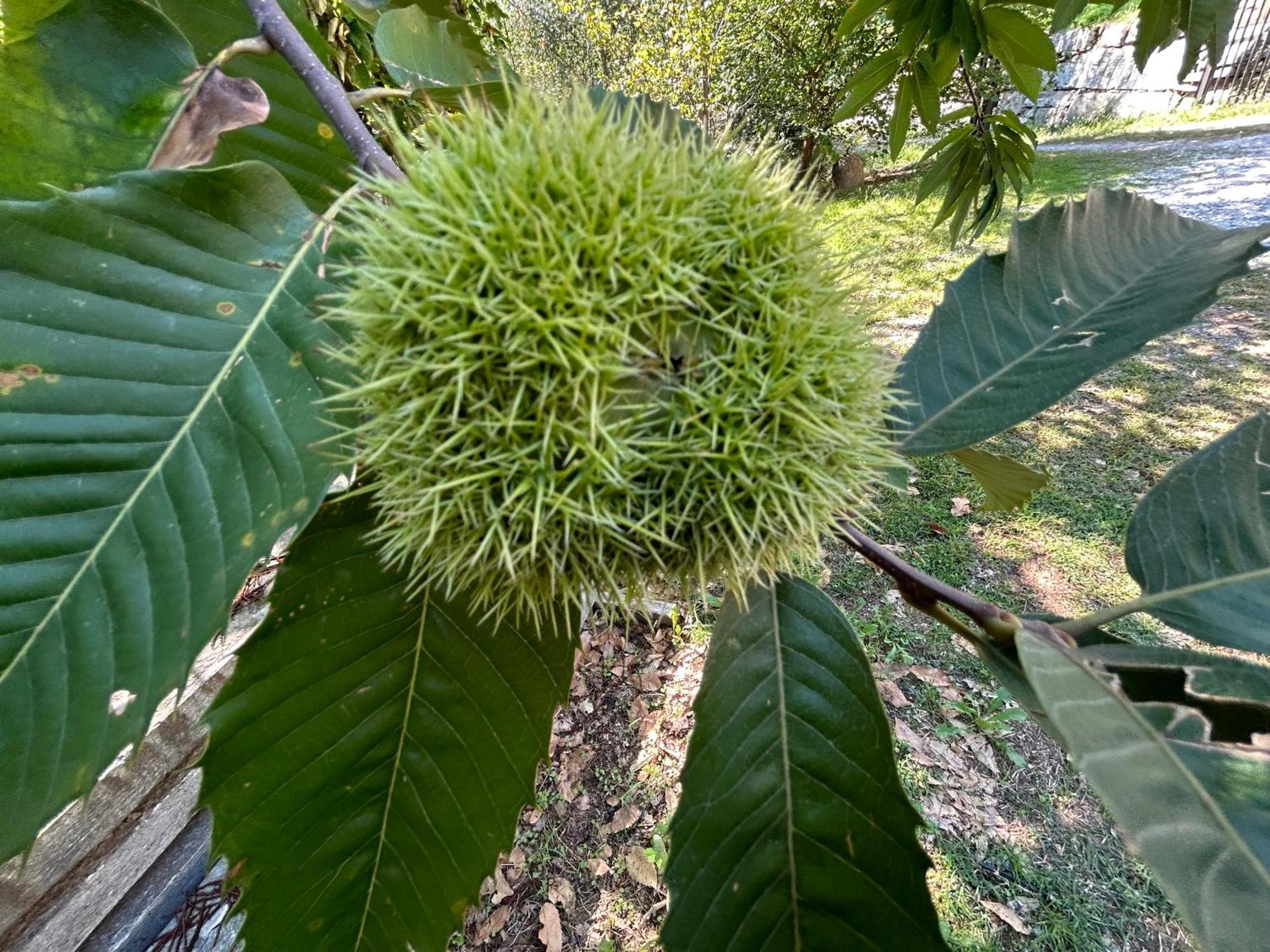 Bagnolo PiemonteCasa Salada别墅 外观 照片